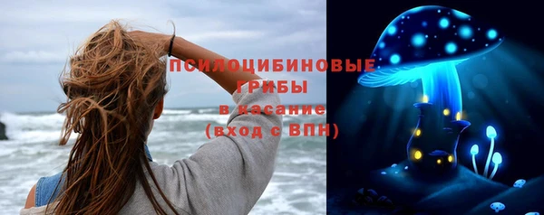 дживик Белоозёрский