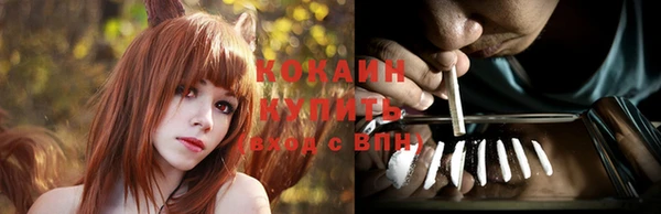 дживик Белоозёрский