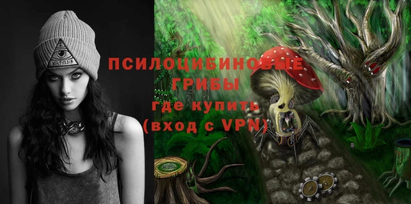 эйфоретик Беломорск