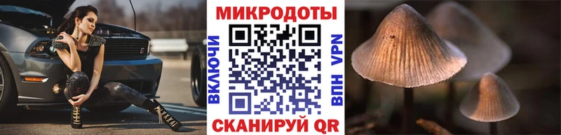 Галлюциногенные грибы GOLDEN TEACHER  Купить где  Богородицк 