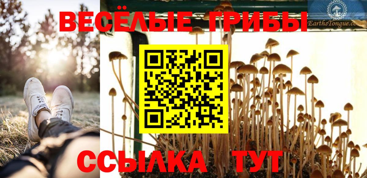 Галлюциногенные грибы GOLDEN TEACHER  Вход с VPN  Богородицк 